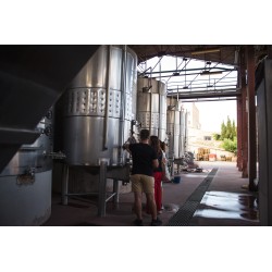 Descubre Vinícola del Priorat