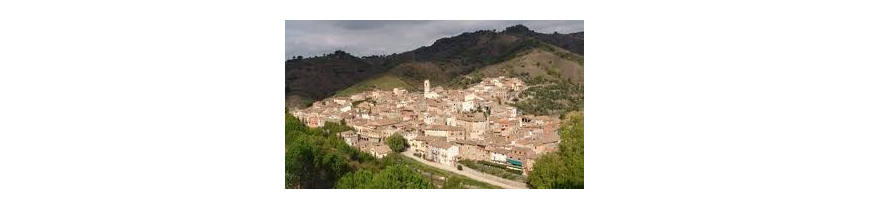 Porrera