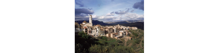 Bellmunt del Priorat