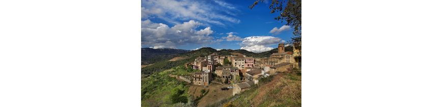 Torroja del Priorat